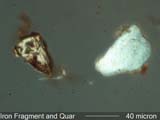 Iron Wear Particle and Feldspar