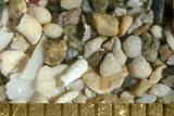 Beach Sand From Jeddeh, Saudi Arabia, Red Sea