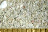 Beach Sand From Jumeira DuBai, UAE, Persian Gulf