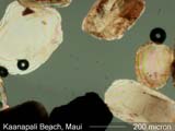 Kaanapali Beach Sand