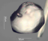 Zircon
