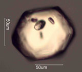 Zircon