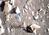 Crushed Kalapana Beach Sand