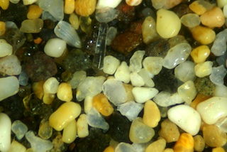 Kehei Beach Sand