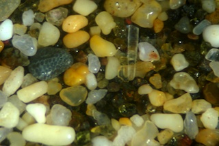 Kehei Beach Sand