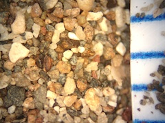 Beach Sand From Keokea, Hawaii (Big Island), Hawaii