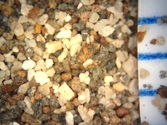 Beach Sand From Keokea, Hawaii (Big Island), Hawaii