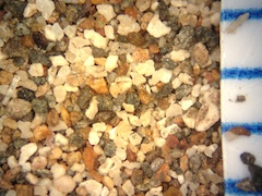 Sand, Keokea Beach, Hawaii (Big Island), Hawaii