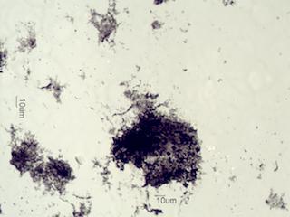 Kitchen Grease Fire Debris
