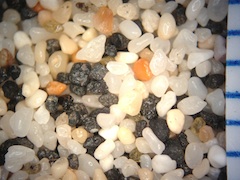Kona Reef Beach Sand, Hawaii (Big Island), Hawaii