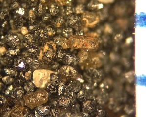 Columbia River Beach Sand, Kruk's Bay