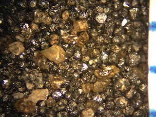 Columbia River Beach Sand, Kruk's Bay