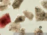 Sand, Kwajalein