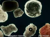 Sand, Kwajalein