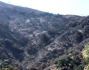 La Tuna Fire Zone