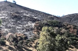La Tuna Fire Zone