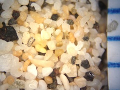 Sand, Laaloa Beach, Hawaii (Big Island), Hawaii