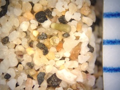 Sand, Laaloa Beach, Hawaii (Big Island), Hawaii