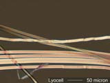 TENCEL Lyocell Fiber