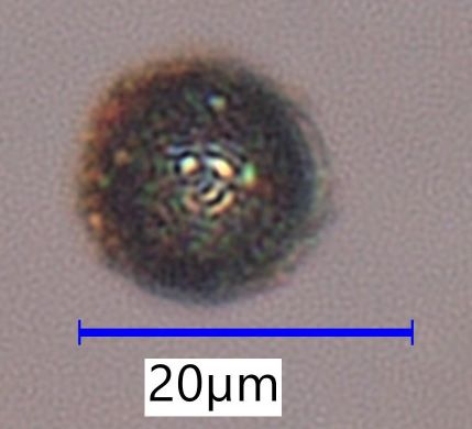 Magnetite Sphere