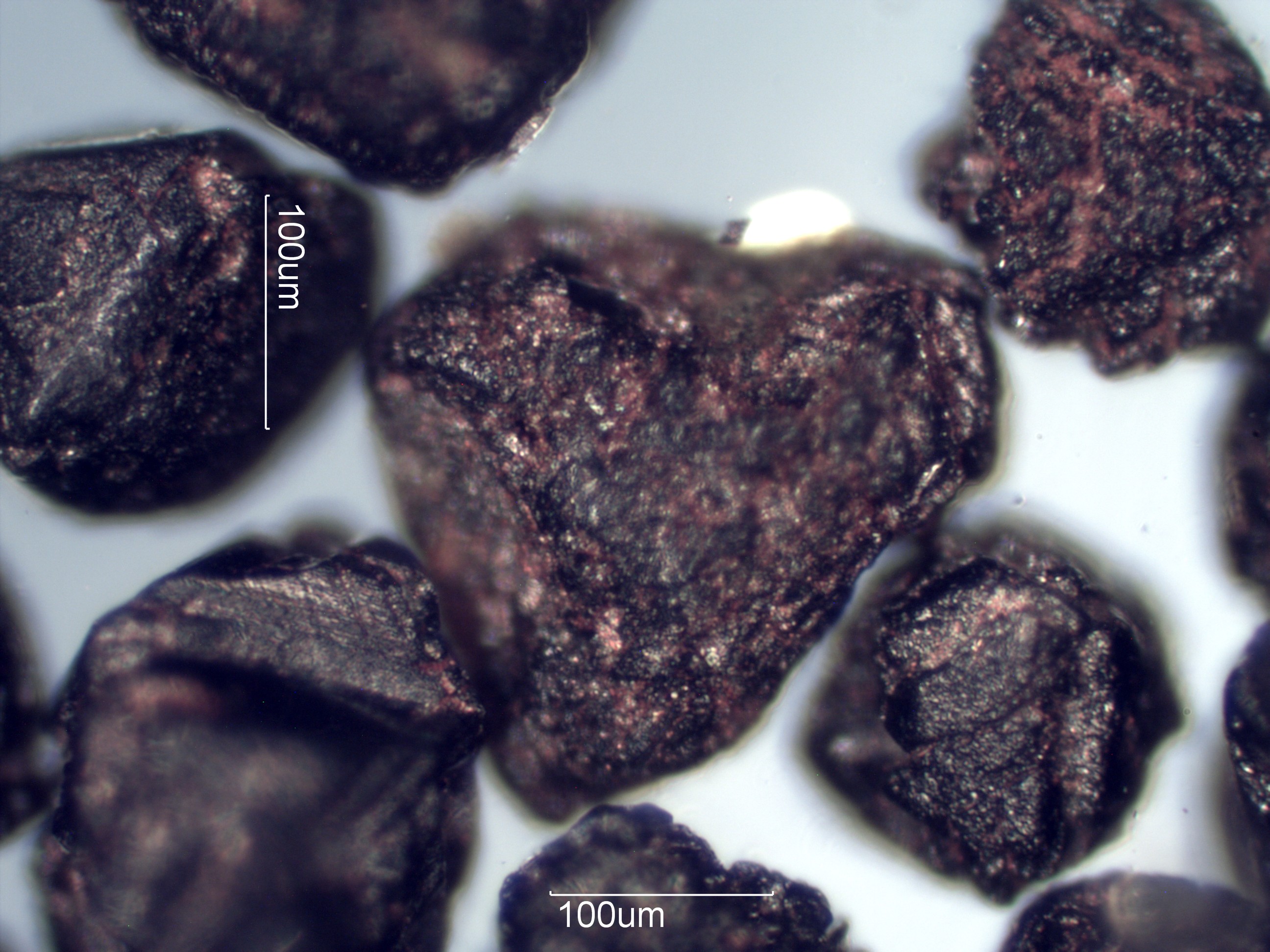 Magnetite
