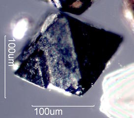 Magnetite Crystal, Beach at Makauwahi Cave,Kauai