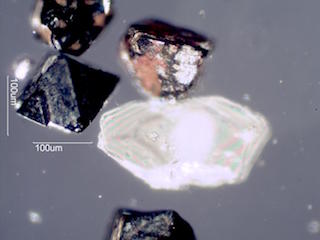 Magnetite and Calcite, Beach at Makauwahi Cave,Kauai