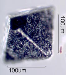 Magnetite Crystal, Beach at Makauwahi Cave,Kauai