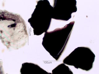 Volcanic Glass, Beach at Makauwahi Cave,Kauai