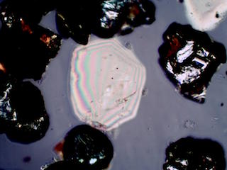 Olivine, Beach at Makauwahi Cave,Kauai