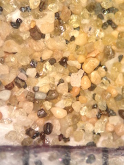 Strandline Sand, Beach at Makauwahi Cave,Kauai