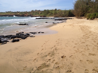 Beach at Makauwahi Cave,Kauai