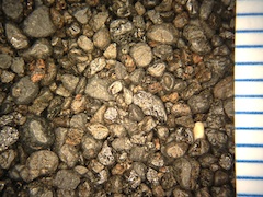 Beach Sand From Makolea, Hawaii (Big Island), Hawaii