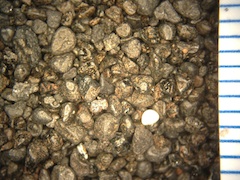 Beach Sand From Makolea, Hawaii (Big Island), Hawaii