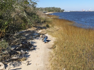 Beach at Fort Caroline, Florida