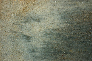 South Ponte Verdra Beach, Florida