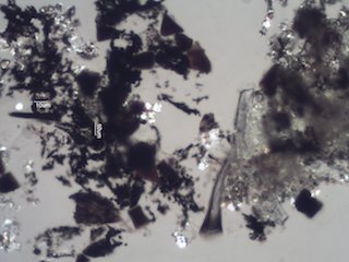 Marijuana Ash