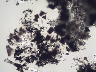 Marijuana Ash