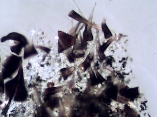 Marijuana Ash