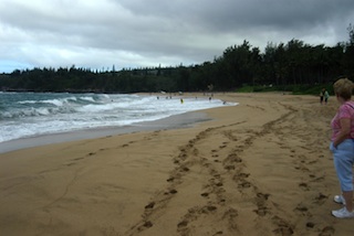 Fleming Beach Sand