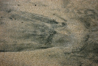 Fleming Beach Sand