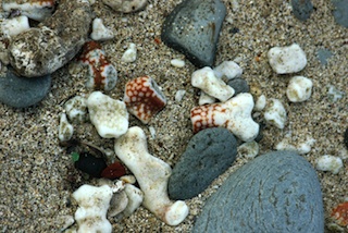 Honokohau Beach