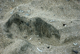 Honokohau Beach Sand