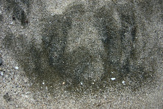 Honokohau Beach Sand