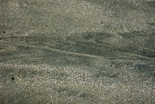 Sand, Wahikuli Beach, Maui, Hawaii