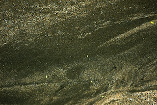 Canoe Beach Sand