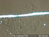 Organic Film From the Top of a File Cabinet