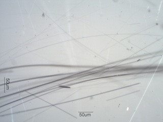 Crocidolite