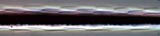 Mink33 400X Near Root Scale