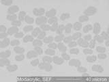 SEF Modacrylic Fiber Cross-Section